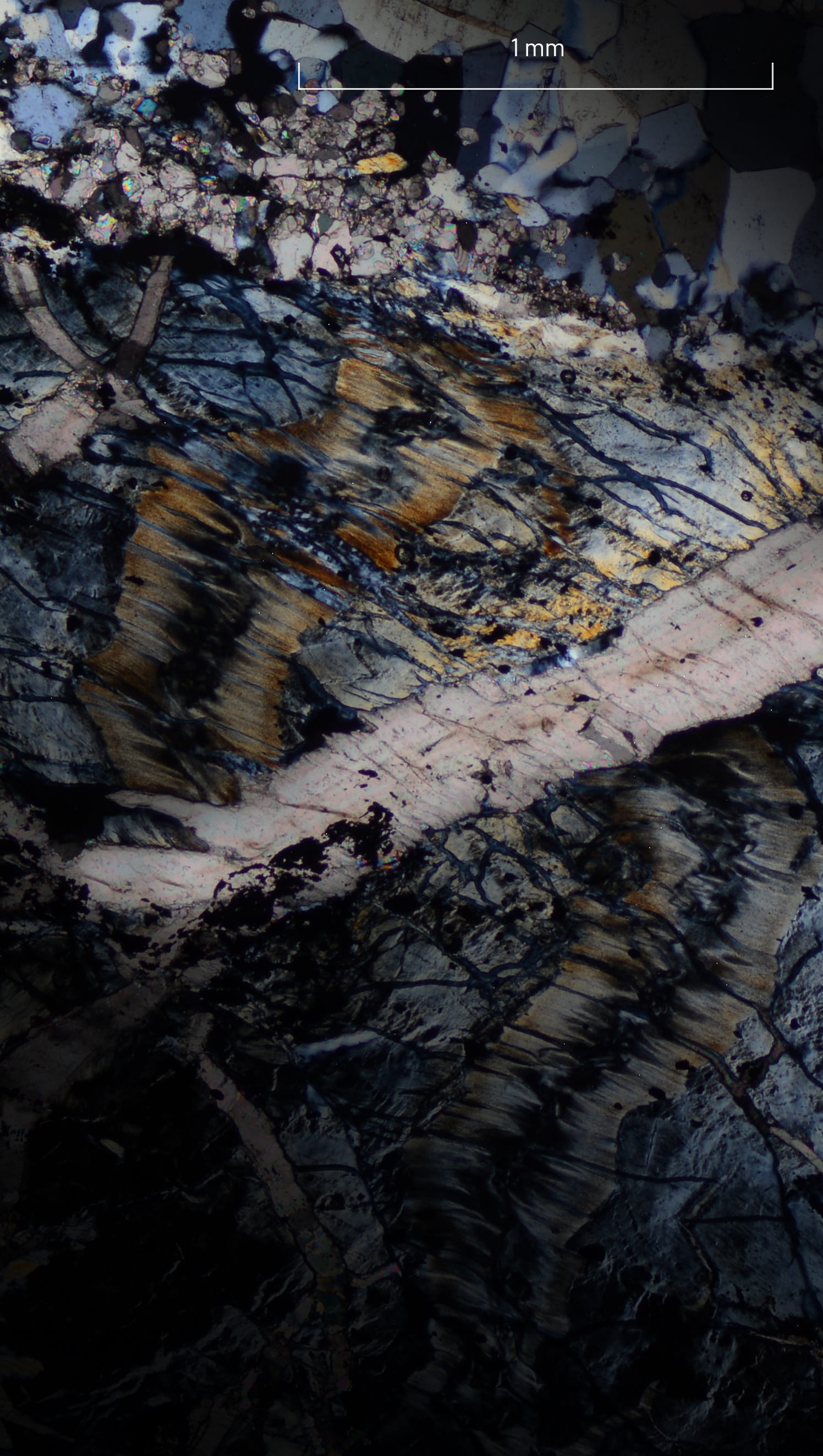 Serpentinite is a common form of ultramafic rock that reacts with carbon dioxide and removes it from the atmosphere